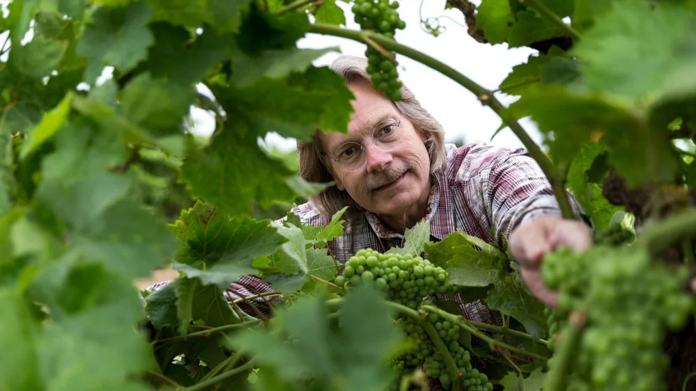 wines2.jpg