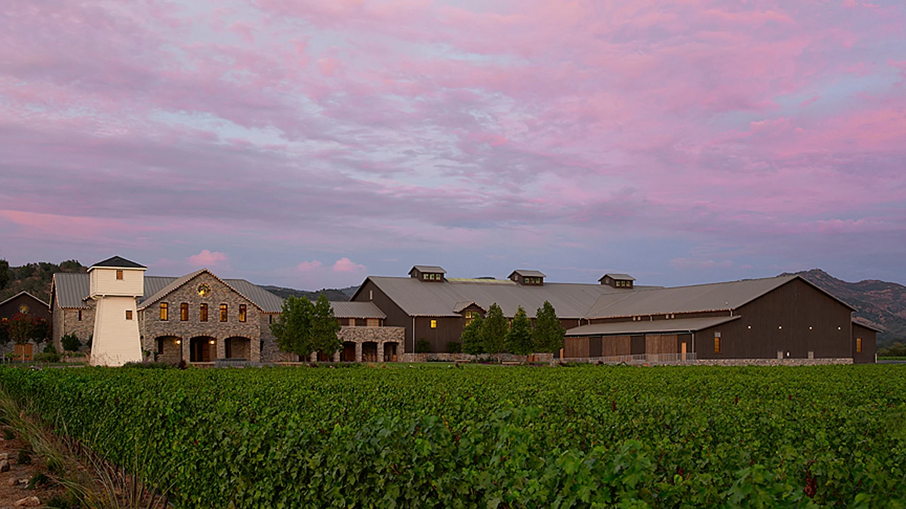 silver-oak-oakville-sunset-72.jpg