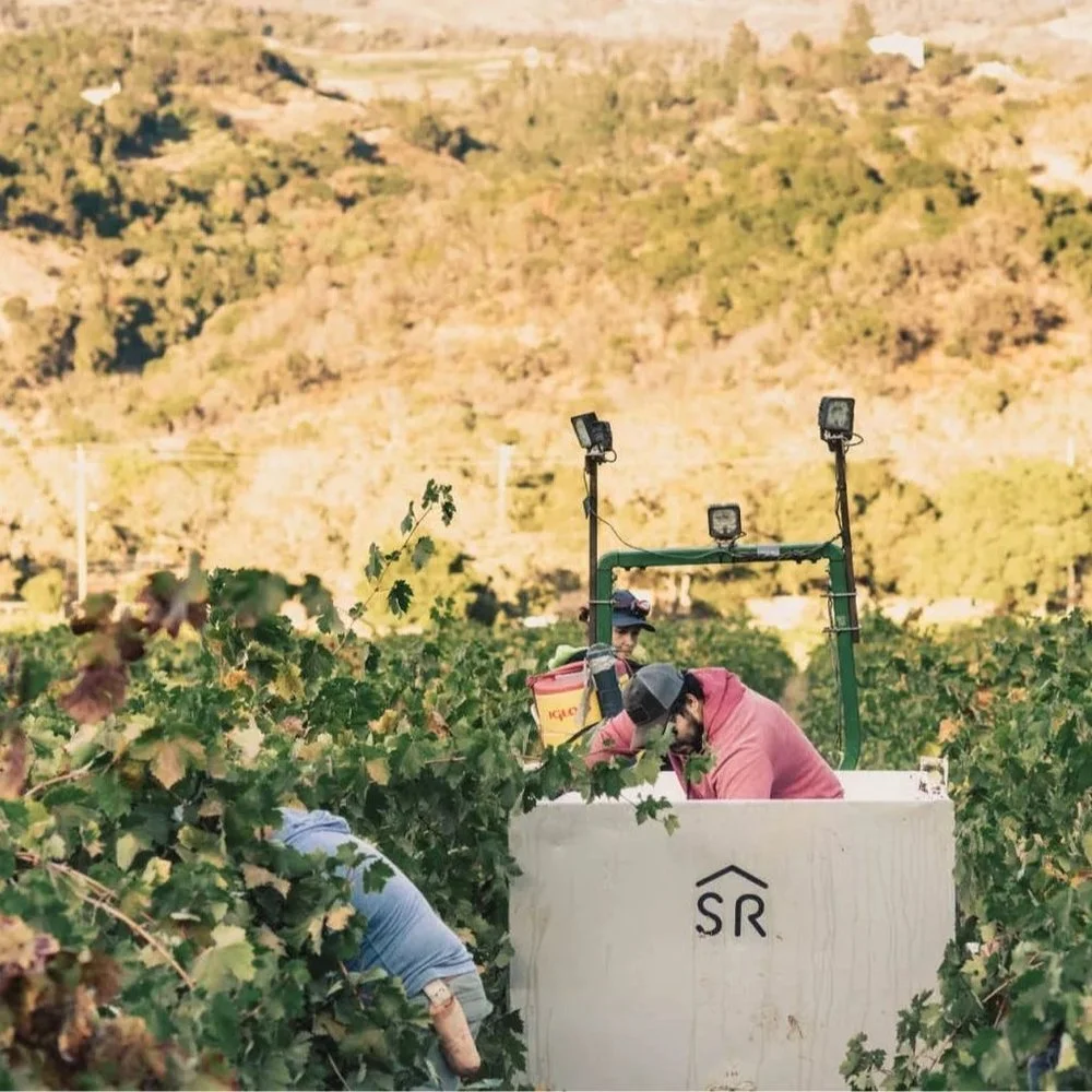 serres_ranch-wine.jpeg