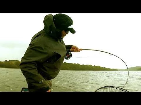 Ode to my Bandits (Copy)