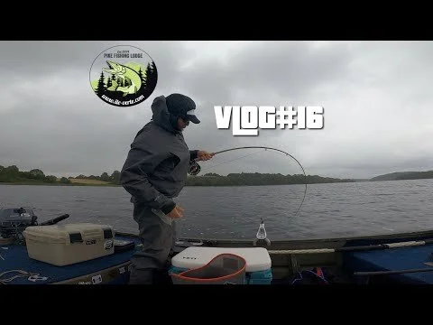 Vlog#16 ● A change in weather ● (Copy)