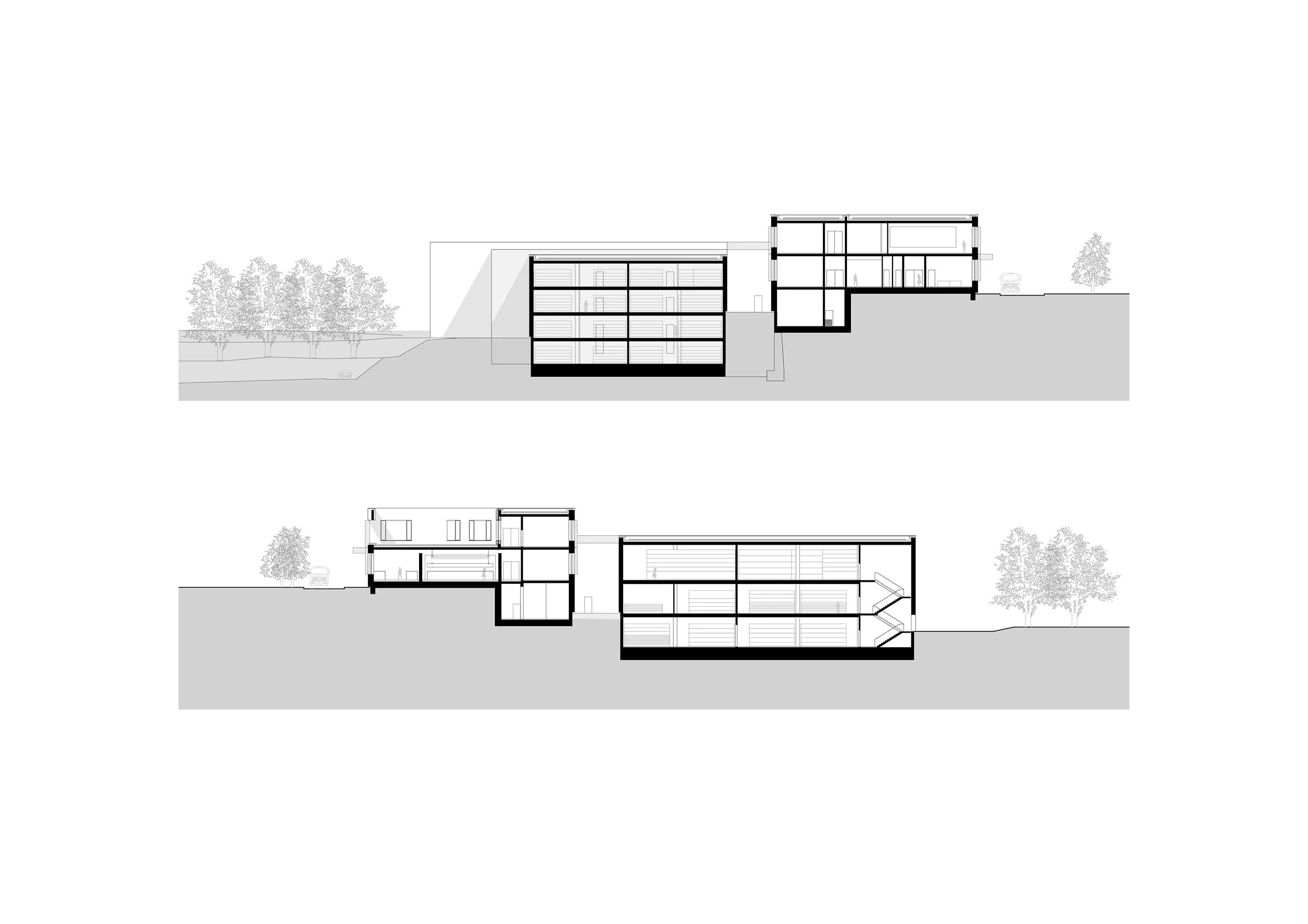 DWS_SN quer-quer Nord.jpg