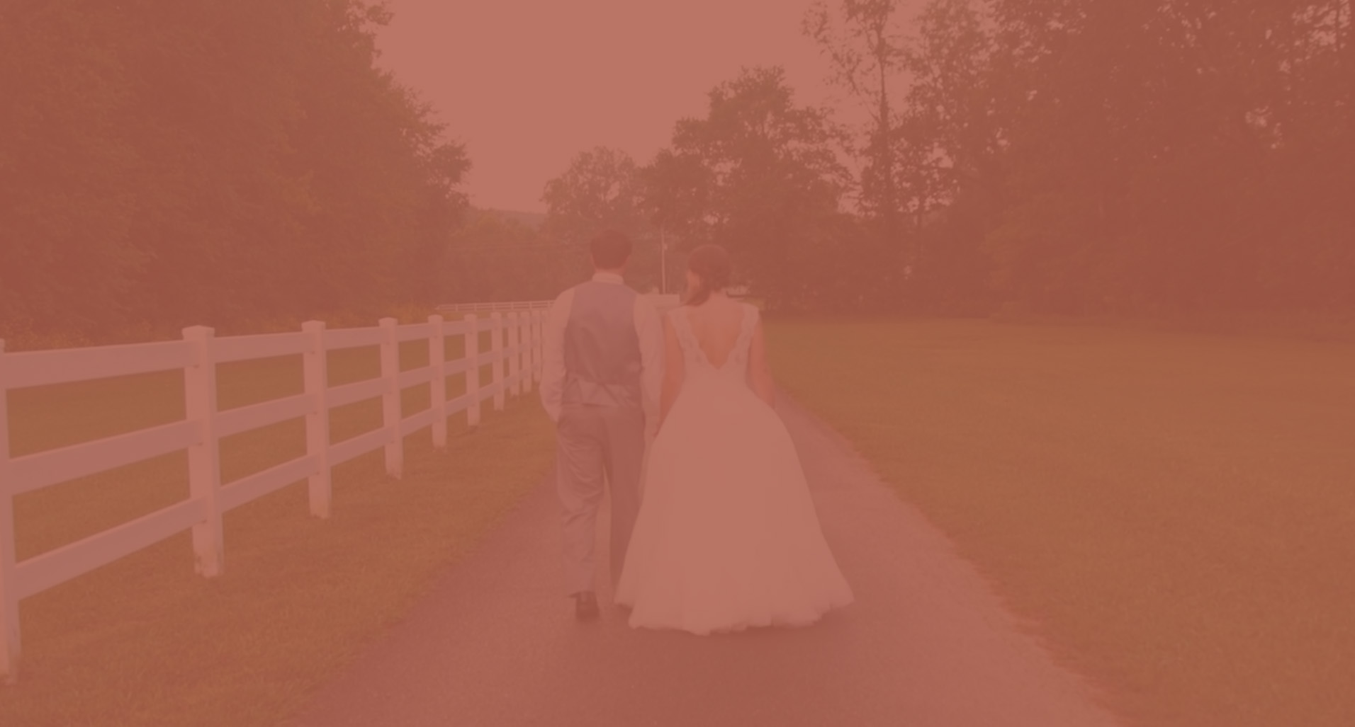 BANNER-7.jpg
