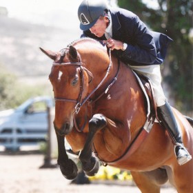 Hap and Capital Elegance