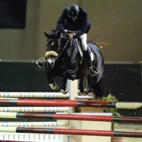 Hap and Coco Chanel, Del Mar 2015