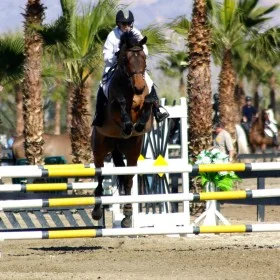 Trudi Fletcher and Gee Whiz