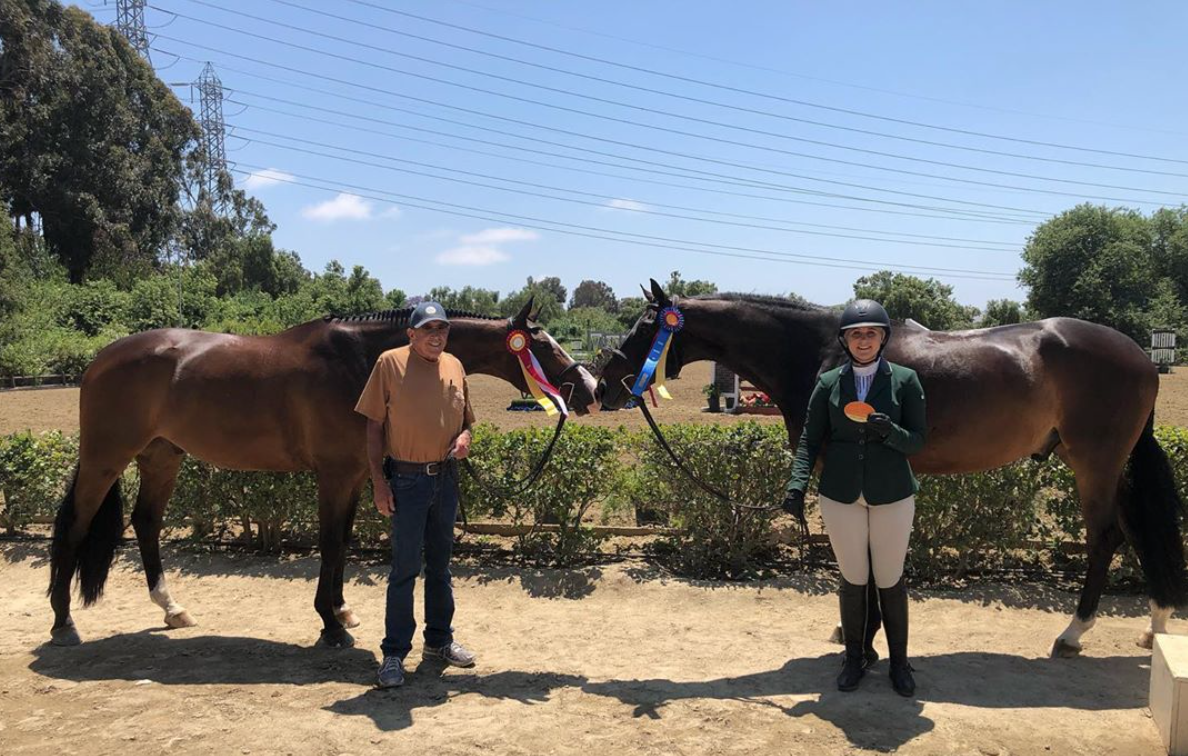 Ashely Weimam Champion and Reserve Champion in 3' BES A/O hunters at Blenheim June Classic II 2019