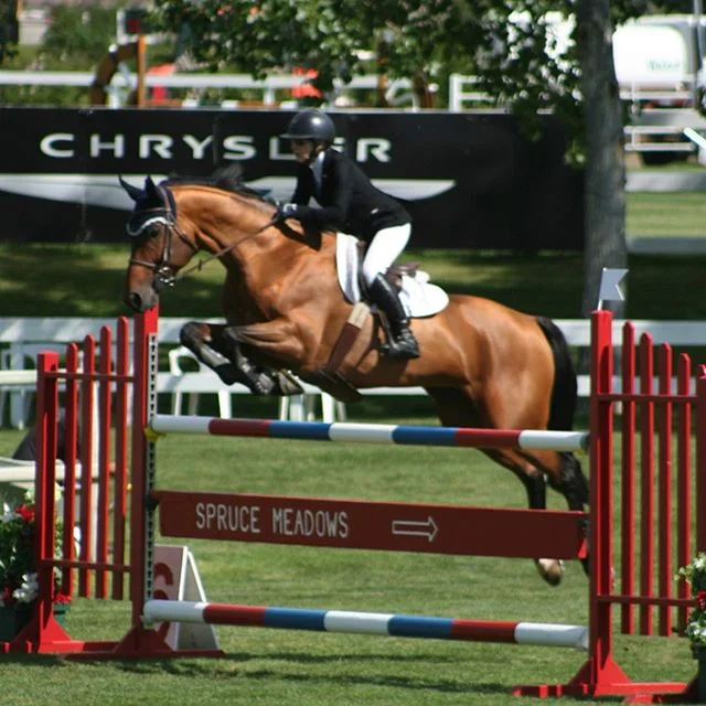 First week of Spruce Meadows Pan American is a wrap! Congratulations to Hannah Ellerbrock and Lagos on their impressive victory in the 1.30m out of a field of 60! Other congratulations go to Trudi Fletcher and Gee Whiz on their 3rd place finish in th