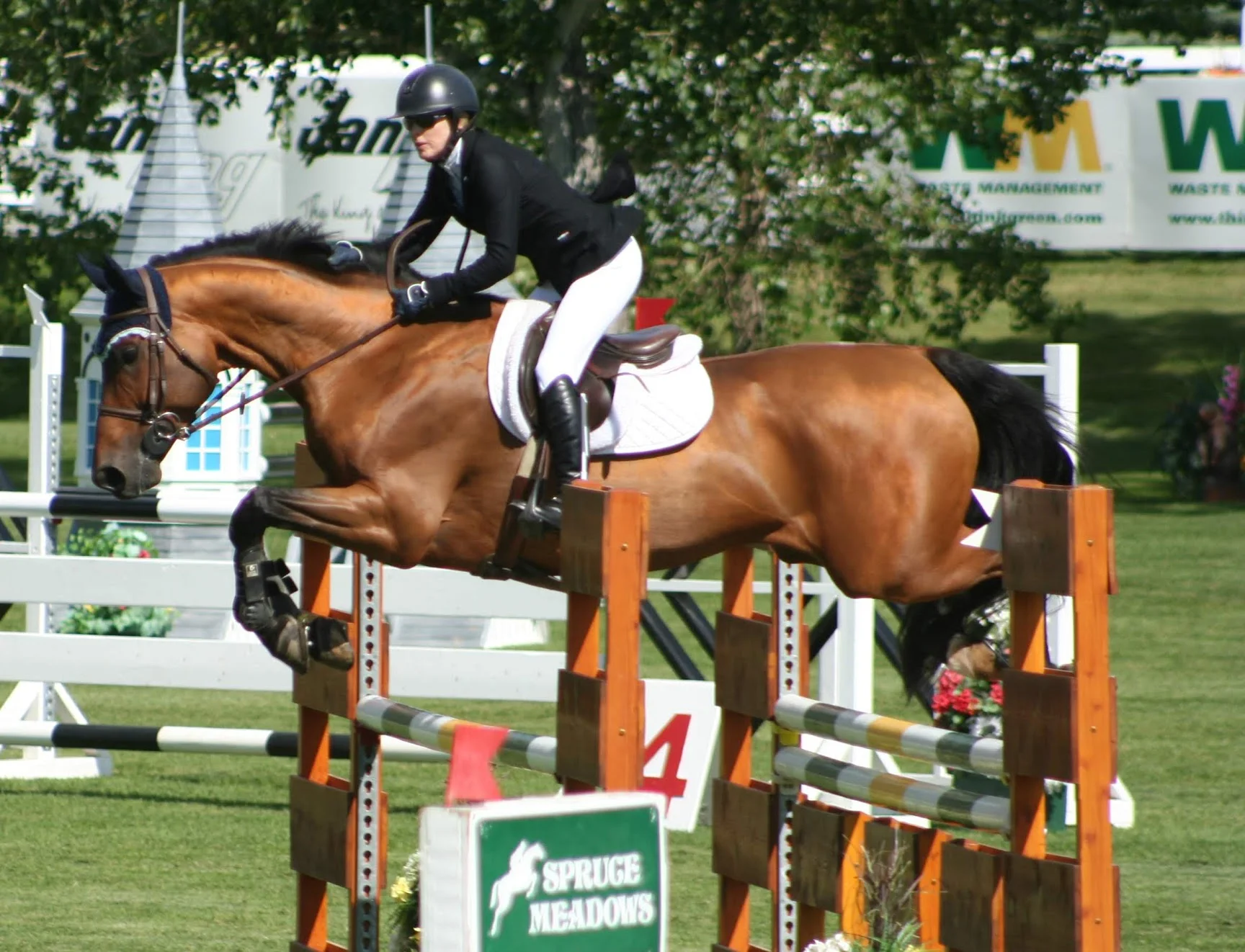 Trudi Fletcher and Gee Whiz Spruce Meadows 2019