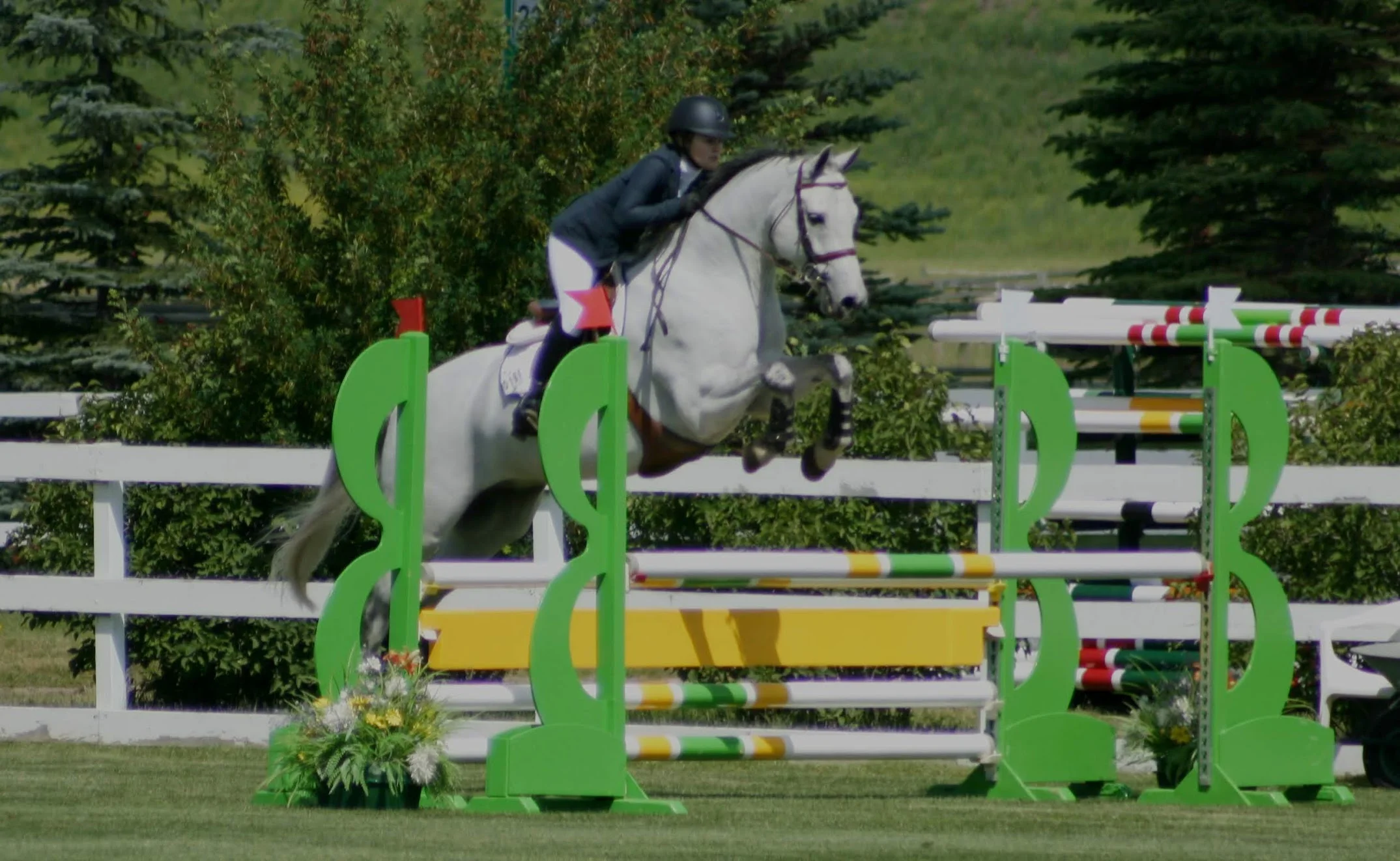 Angela Herring and El Cid Spruce Meadows 2019
