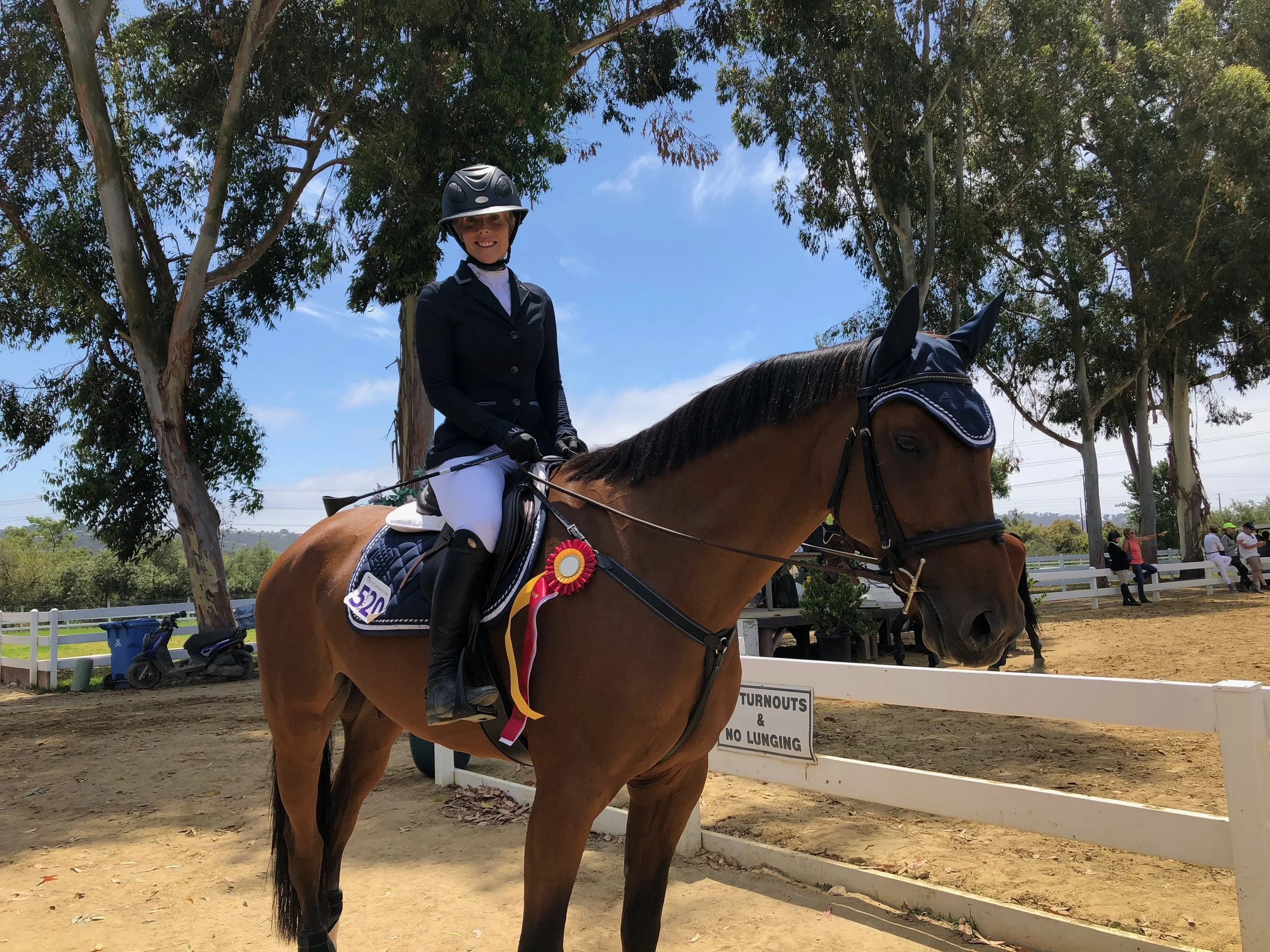 Megan Camaisa and Contariko Reserve Champions in the Low Adult jumpers at Showpark Racing Festival 2019