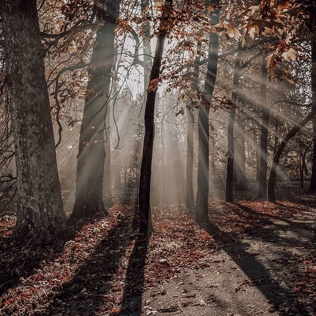 Hiking season is finally about to start