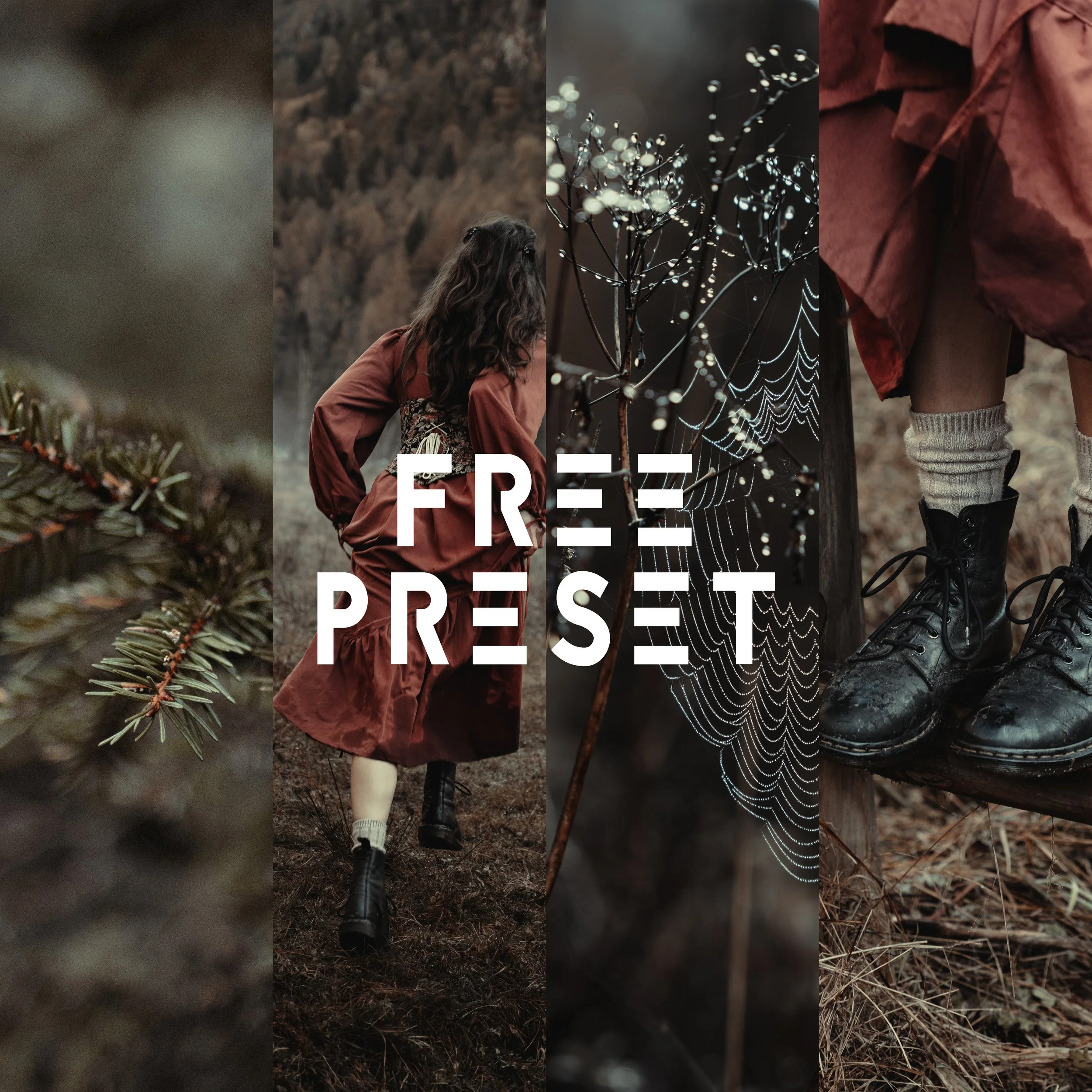 FREEBIE Preset