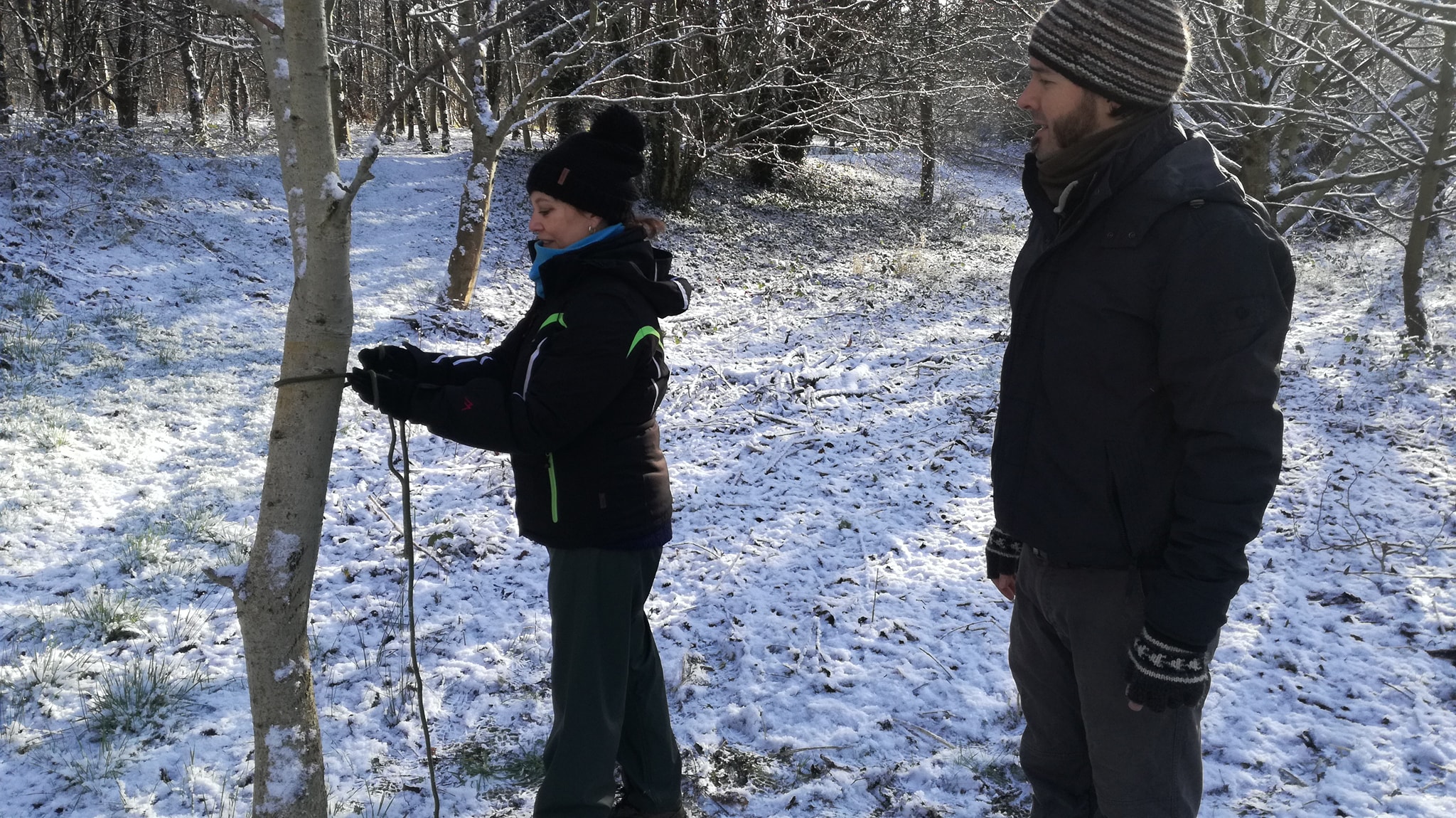 Level 4 Award Outdoor Learning and Forest School Trainer