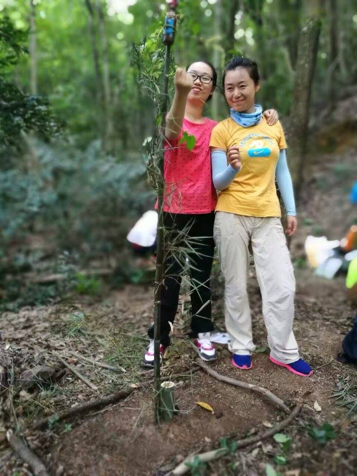 Forest school beyond uk