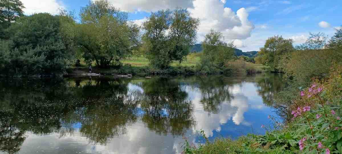 cambium-sustainable-forest-school-training-outdoor-learning-VALUE-SUPPORT-wellbeing-TRAINERS-NETWORK-MOOT-CAMPFIRE-LAKE-BLUE-SKY.jpeg