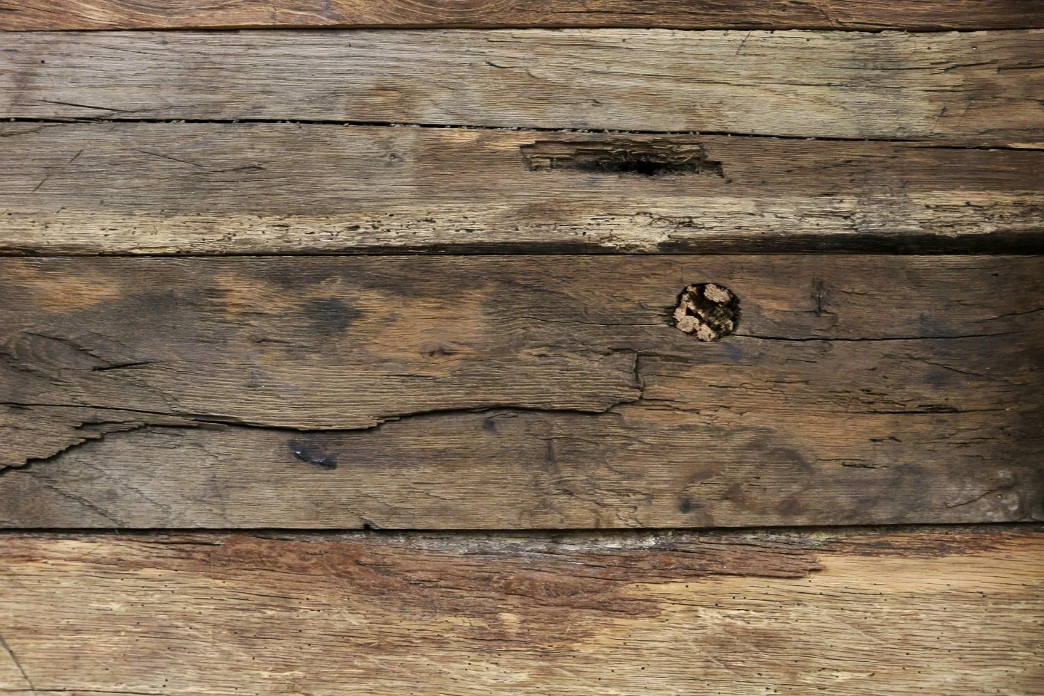 Altholz: Parkett und Wandverkleidungen — Ryser Böden