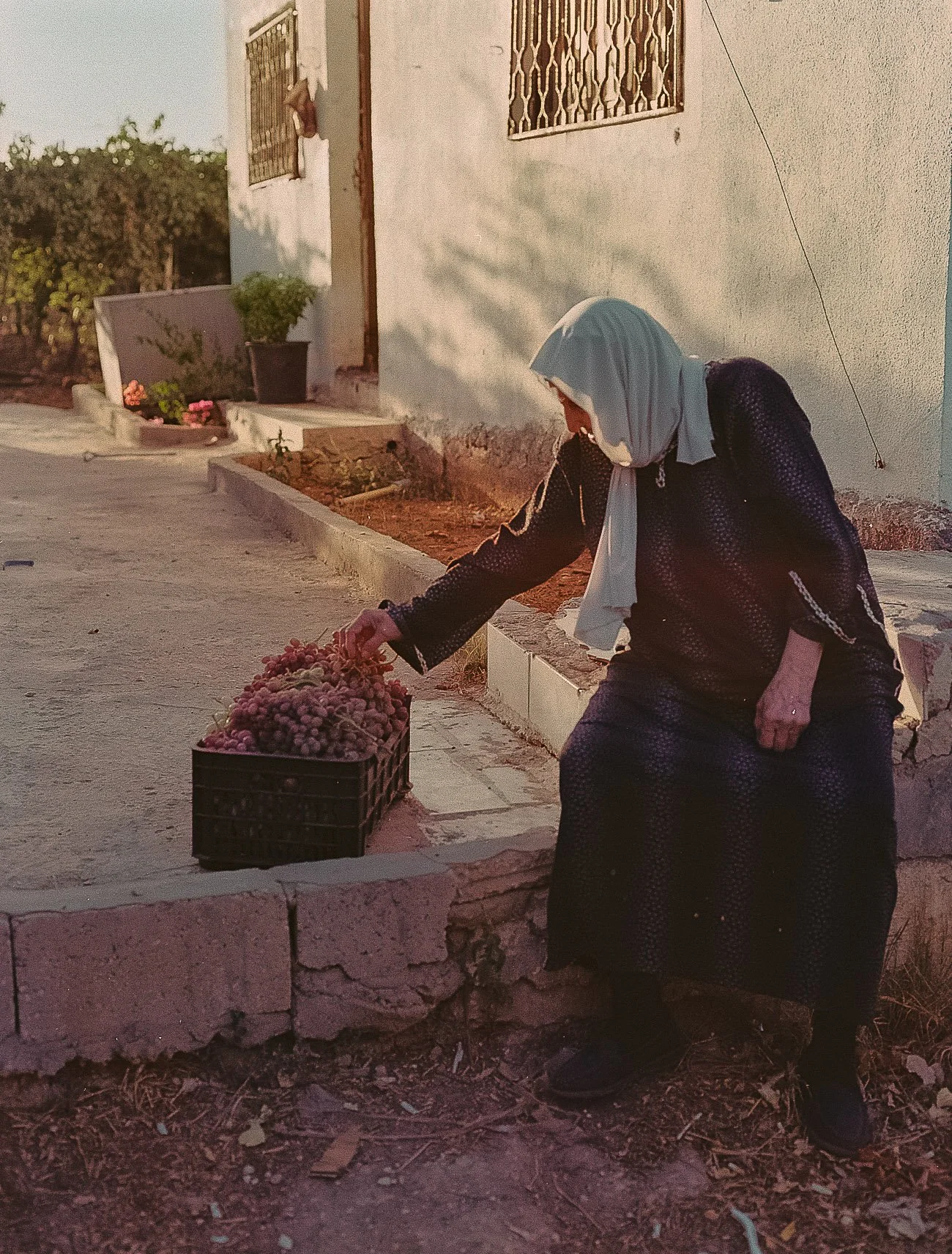 202309_KodakGold200_Tata in Mizra3a002.jpg