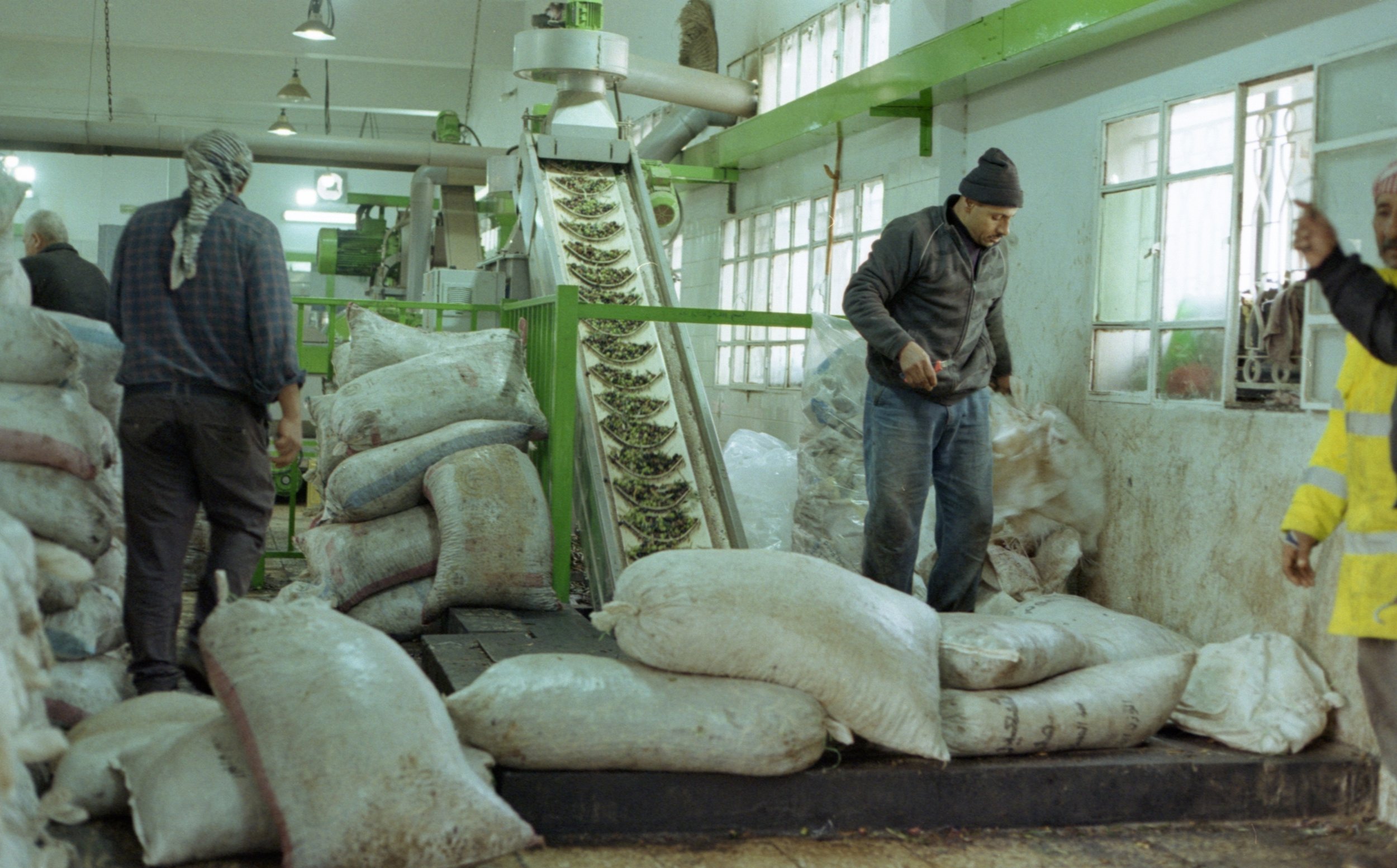 202311_ProImage100_Dead Sea017.jpg