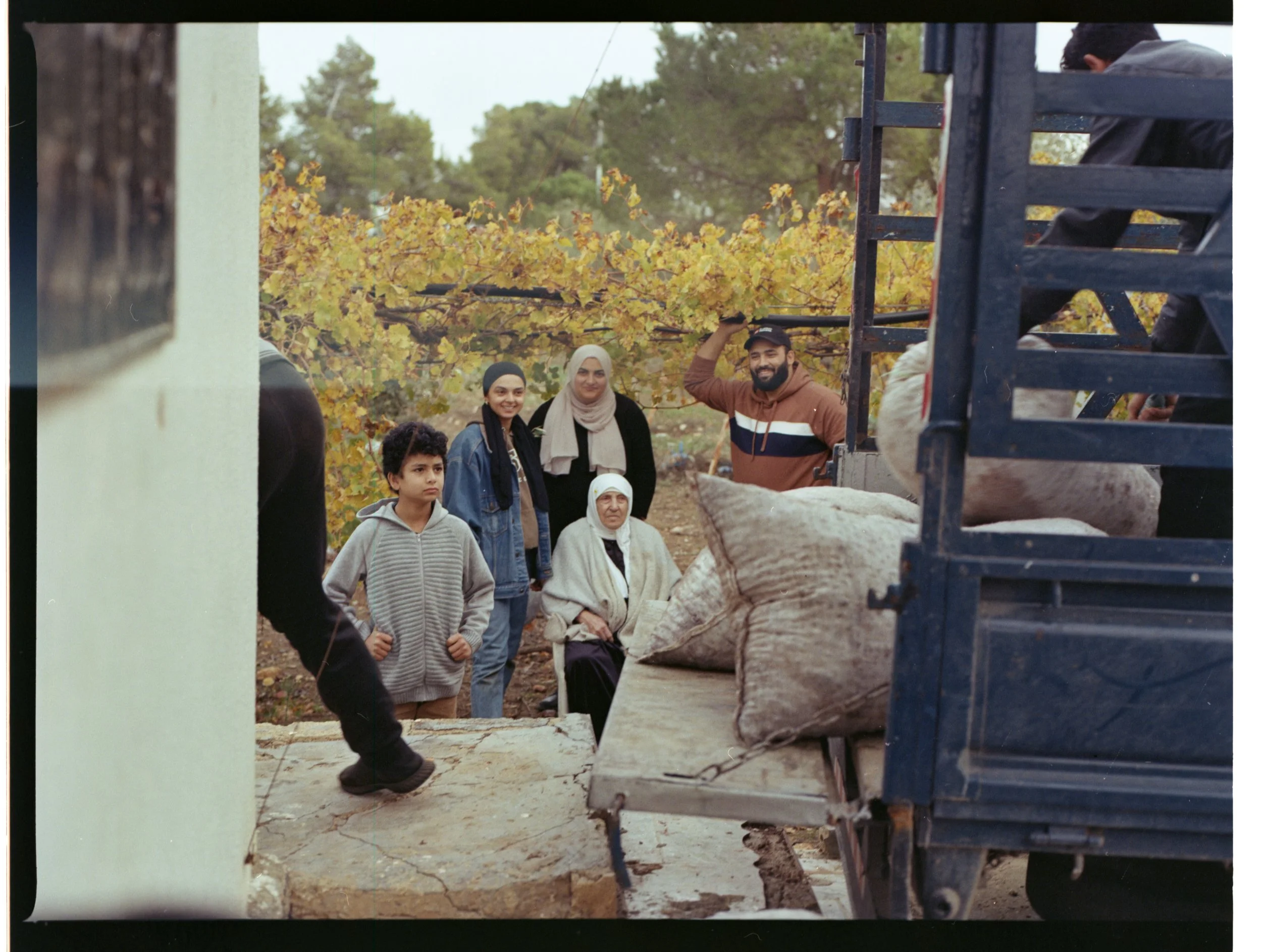 202312_KodakGold200_Oliveharvest015.jpg