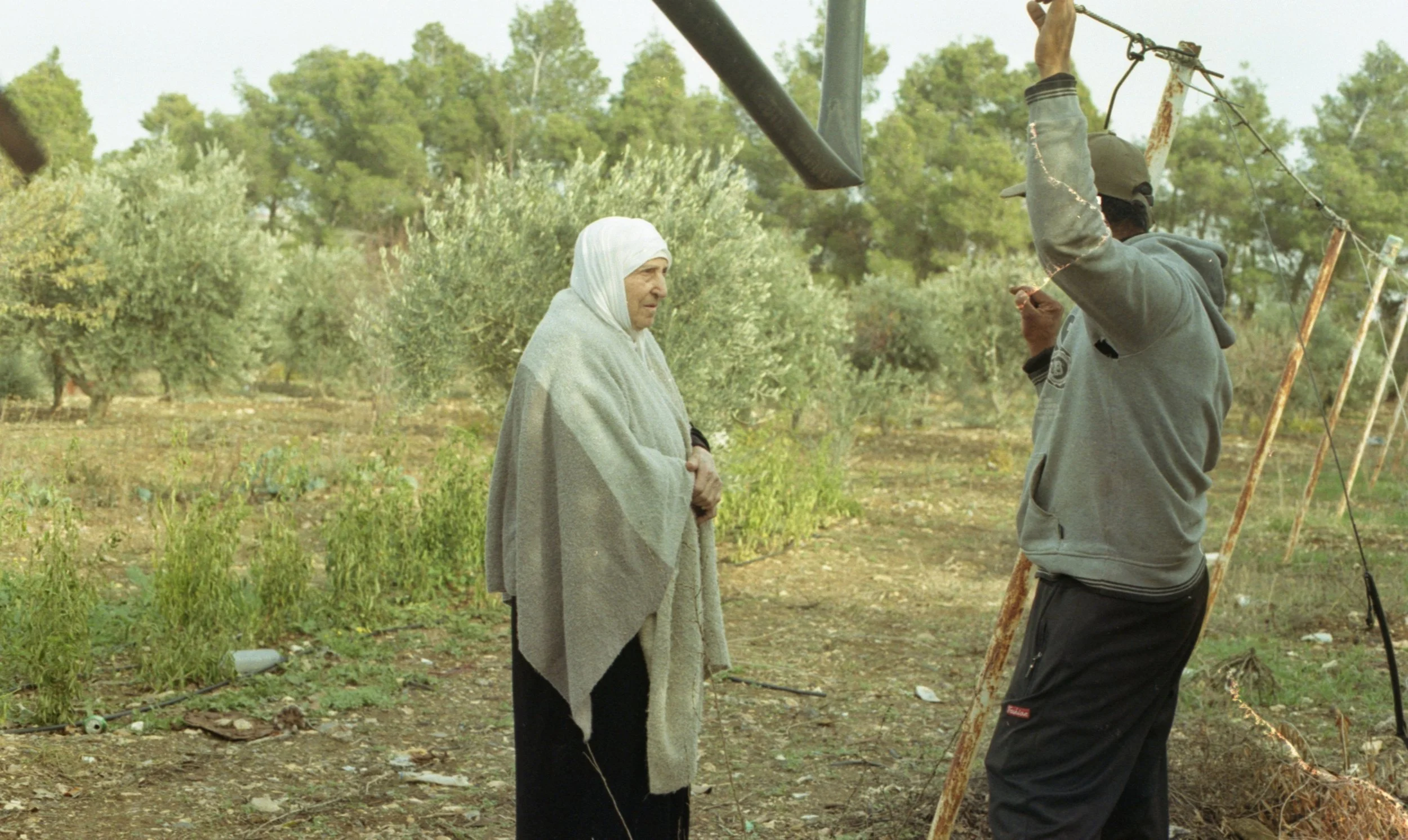 202311_ProImage100_Dead Sea034.jpg