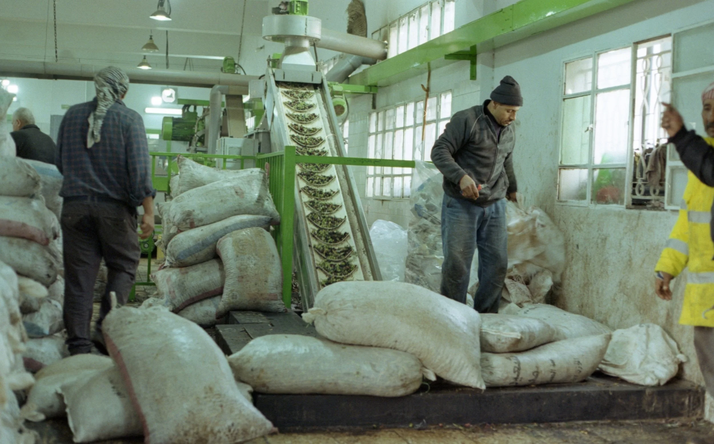 202311_ProImage100_Dead Sea017.jpg