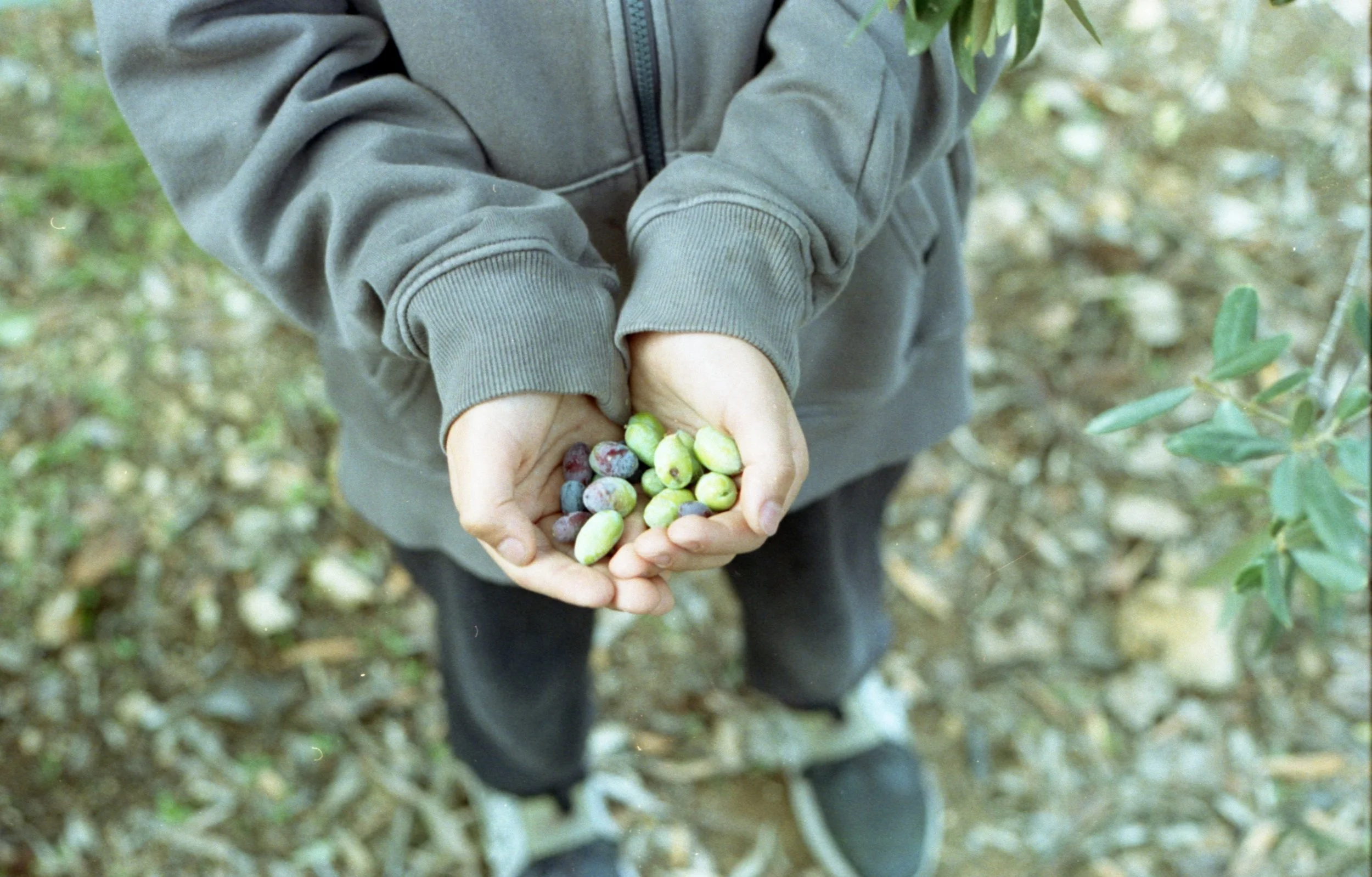 202311_ProImage100_Dead Sea037.jpg