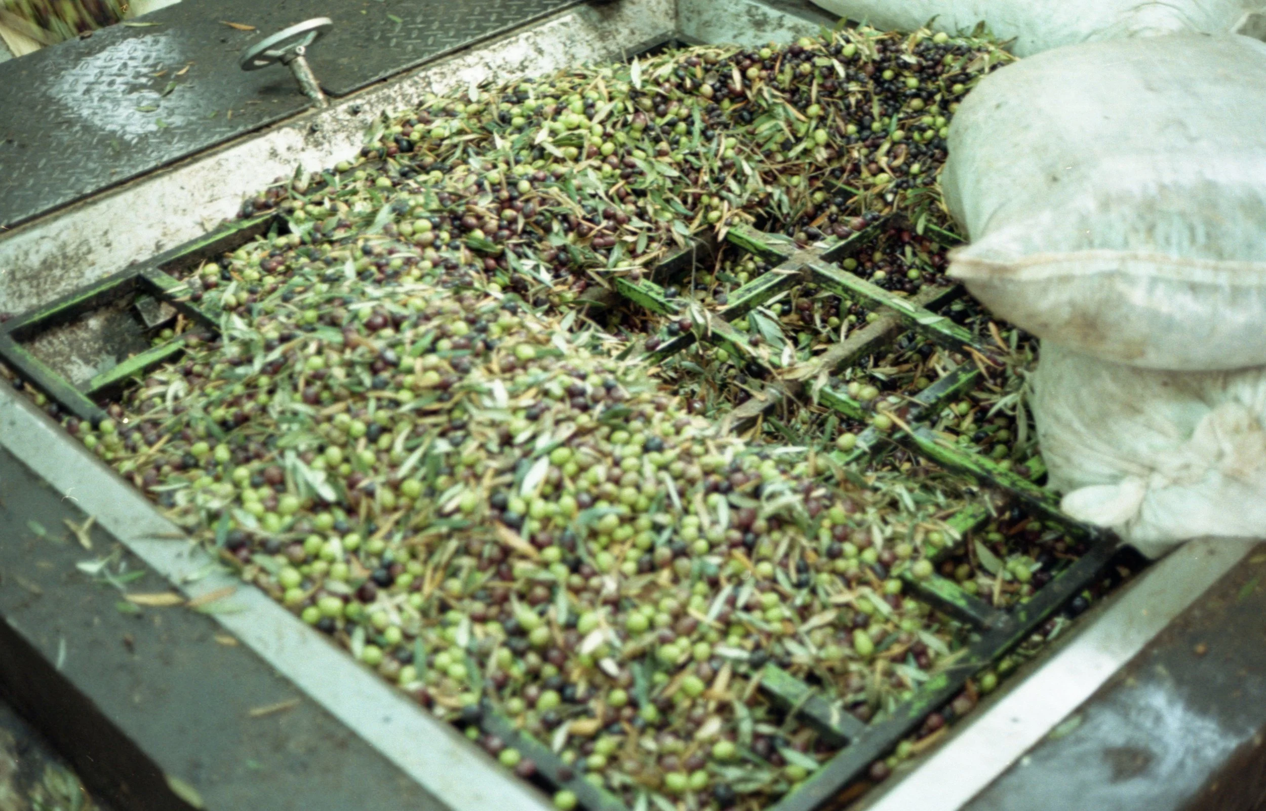 202311_ProImage100_Dead Sea019.jpg