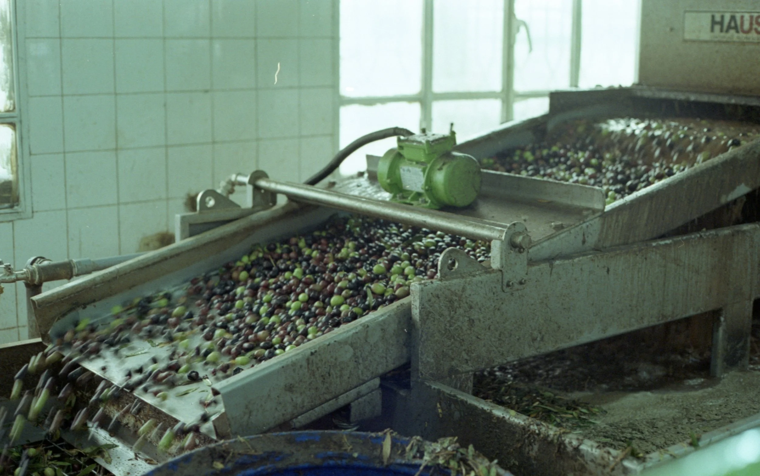 202311_ProImage100_Dead Sea021.jpg