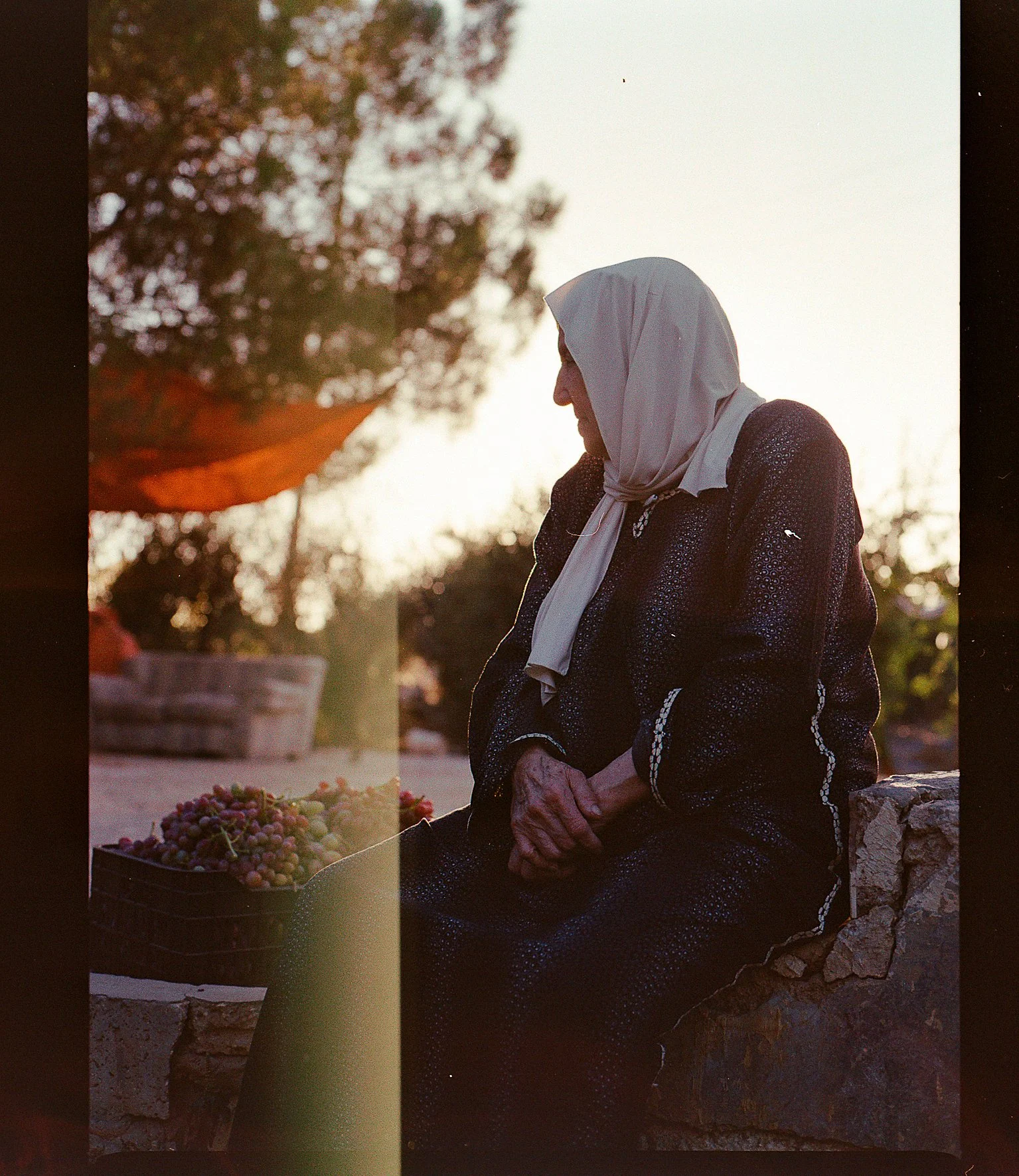 202309_KodakGold200_Tata in Mizra3a004.jpg