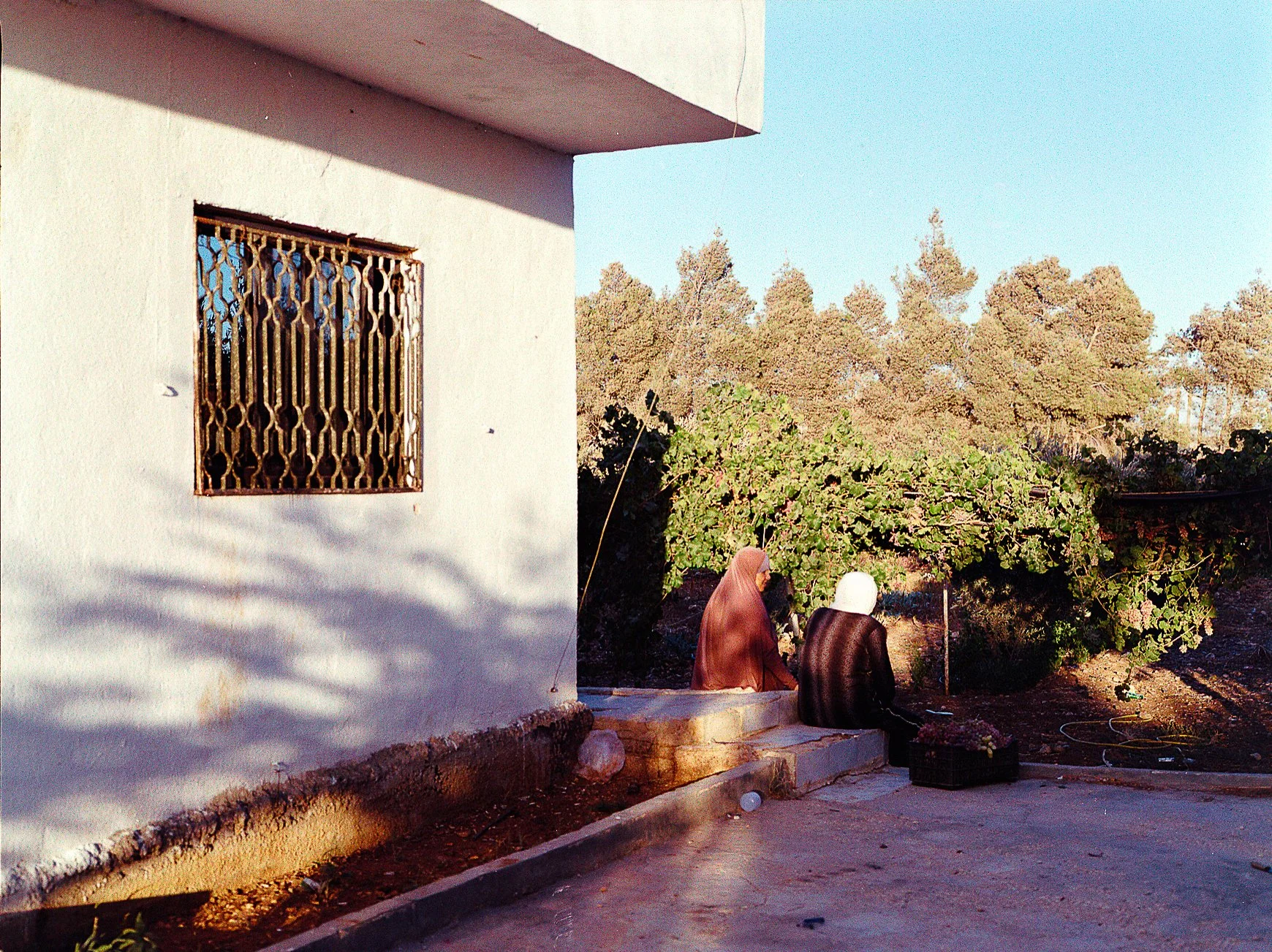 202309_KodakGold200_Tata in Mizra3a005.jpg