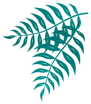 leaves iamges