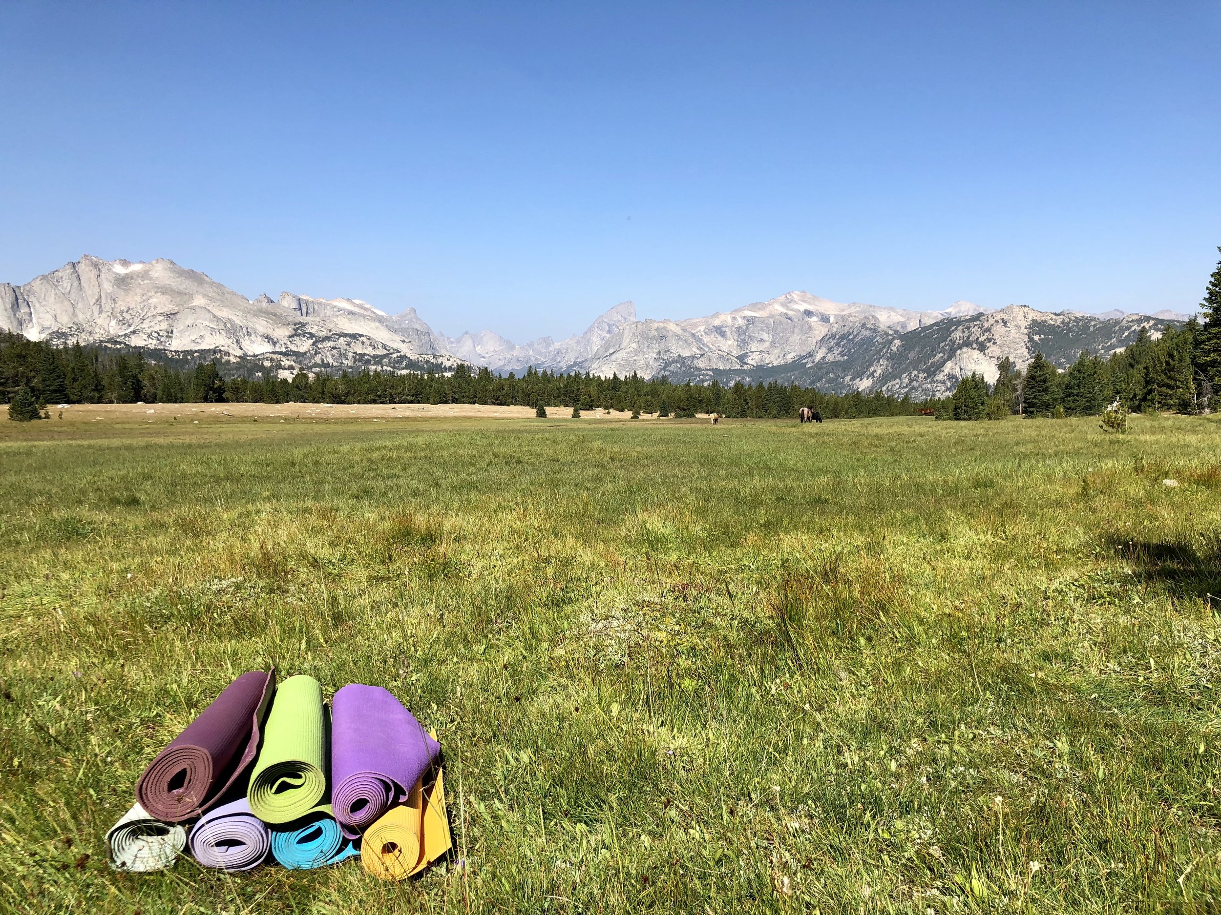 3C2EDE16-FE48-47E2-84AB-9212A66C9138_1_201_a.jpeg