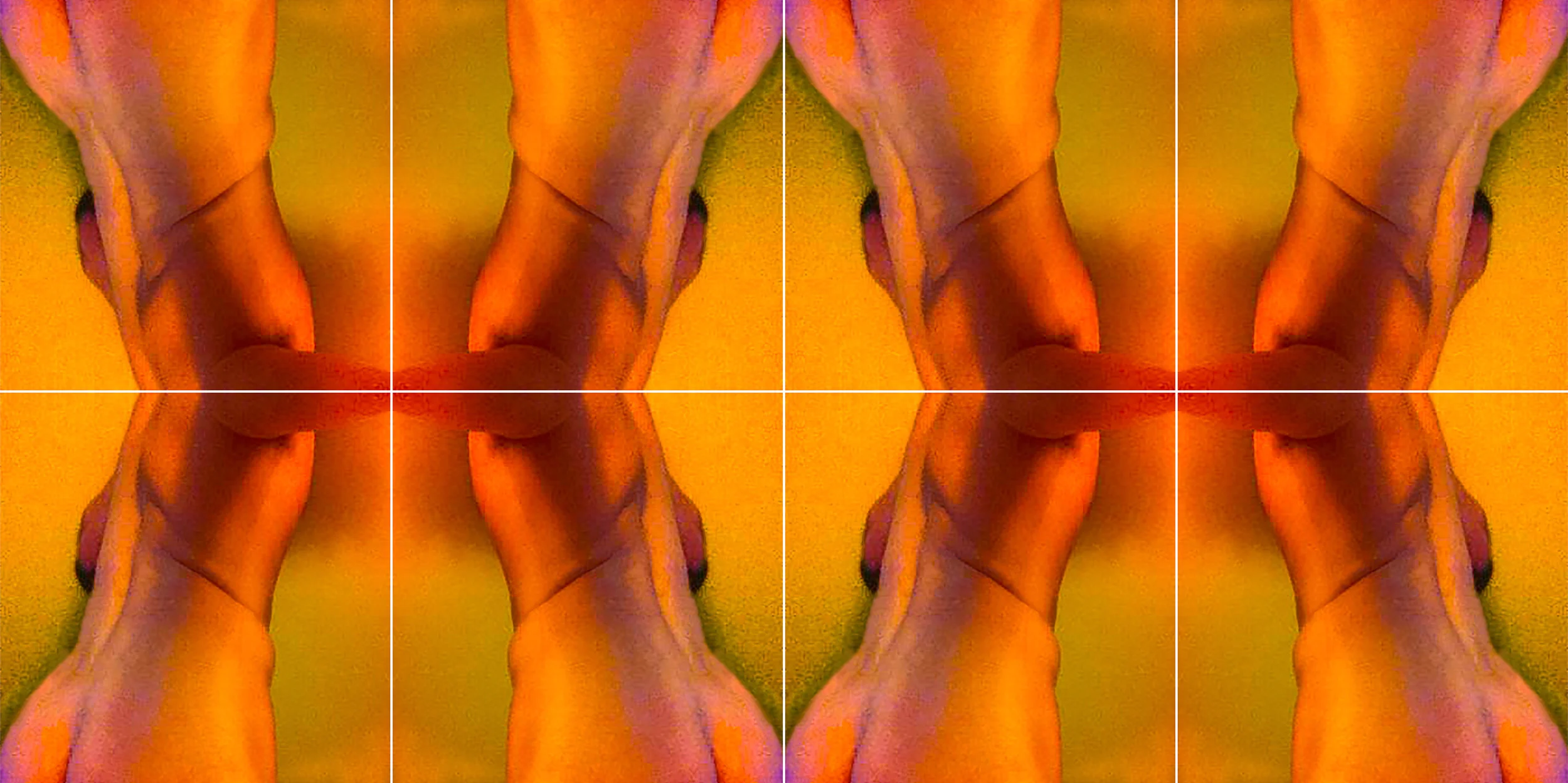  Bi curious twink, Grid No. 2 