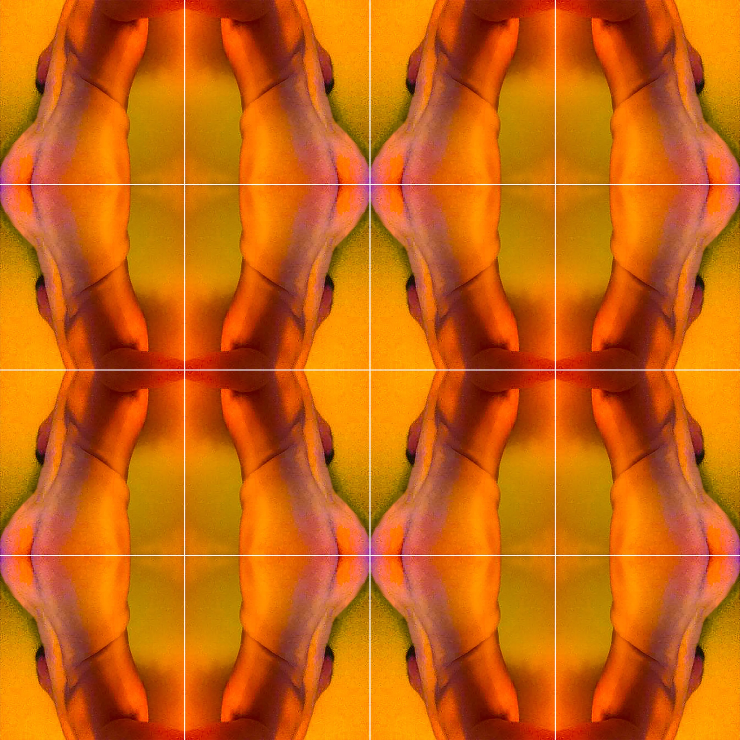  Bi curious twink, Grid No. 3 