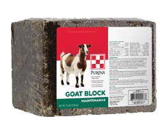 Goat-Block-2018-transparent-background.png