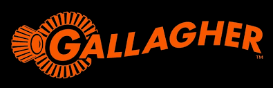 gallagher jpg.png