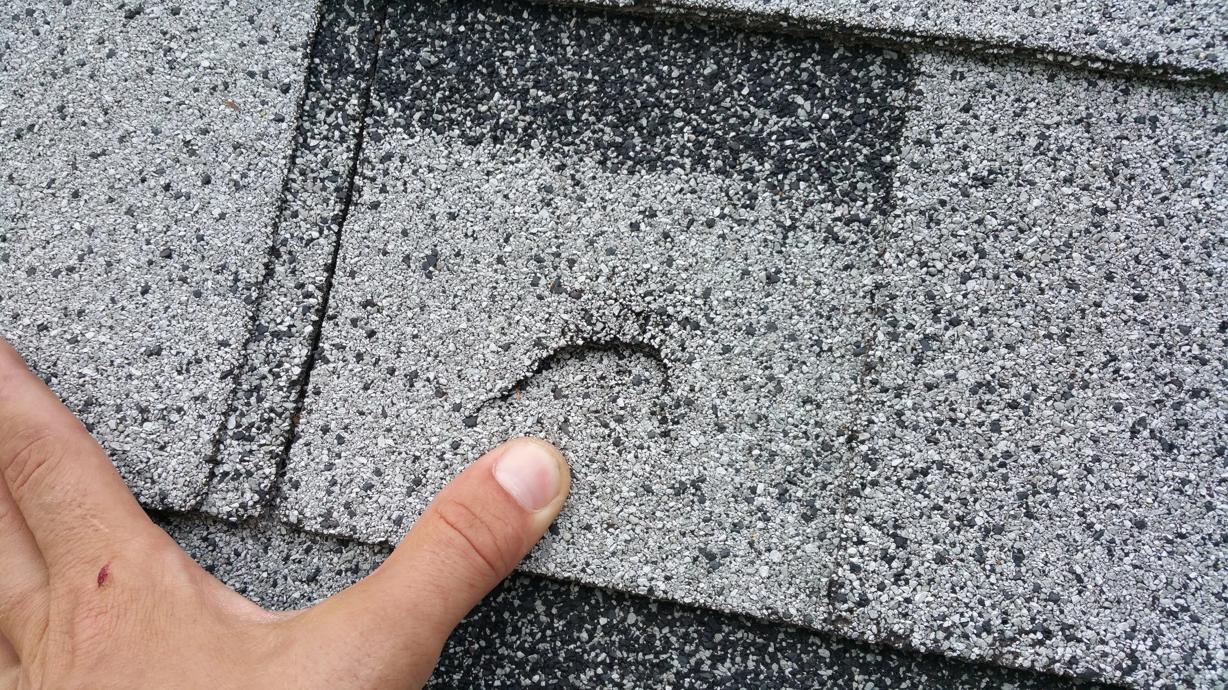 20150725_170255.jpg