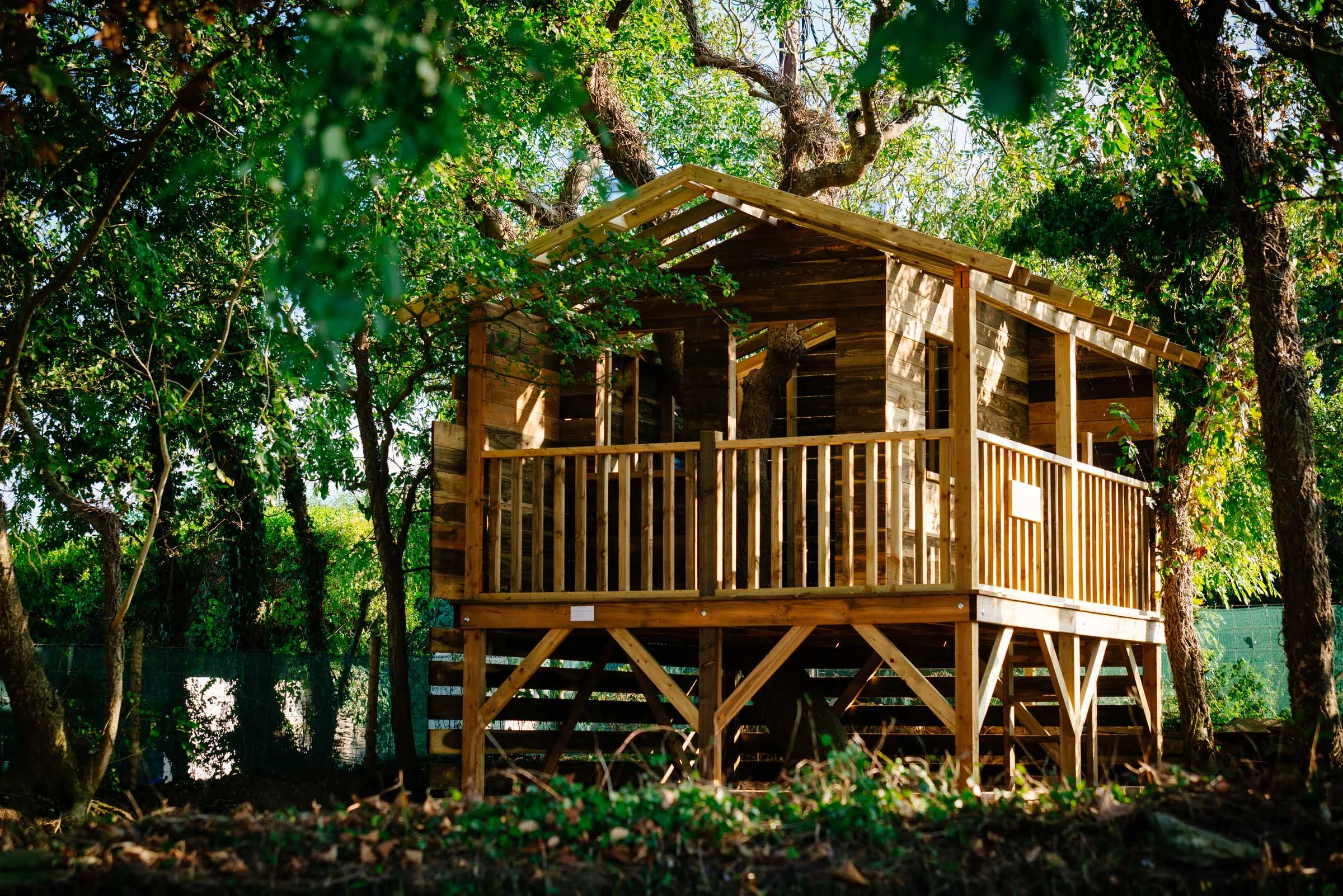treehouse.jpg