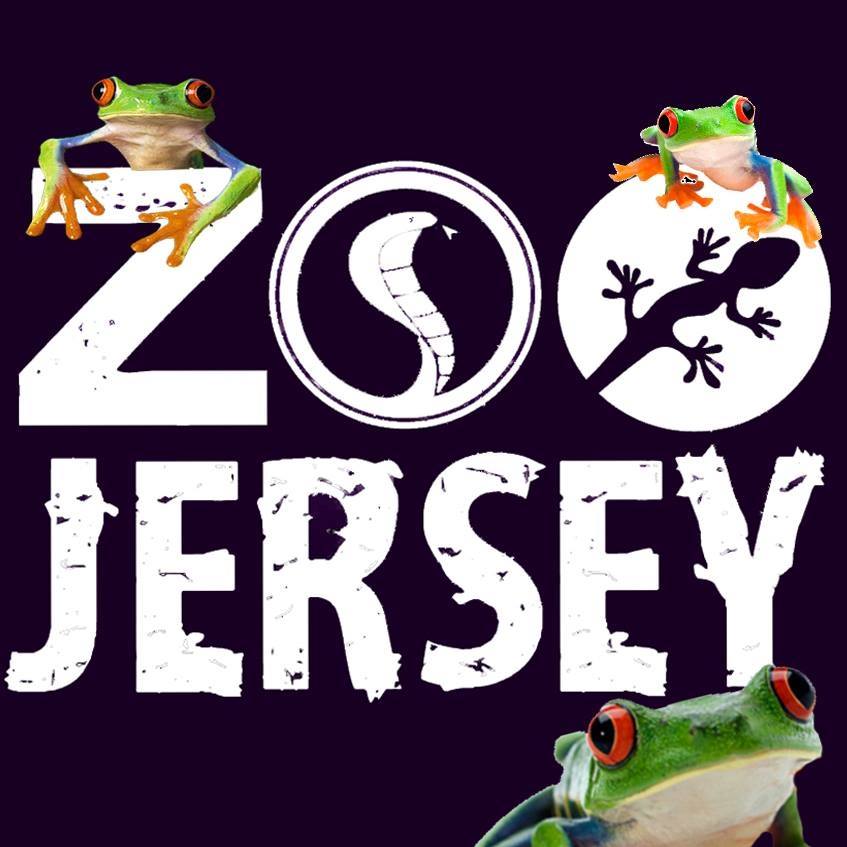 Zoo Jersey: Live Animal Show! — Sea Bright Library & Cultural Arts
