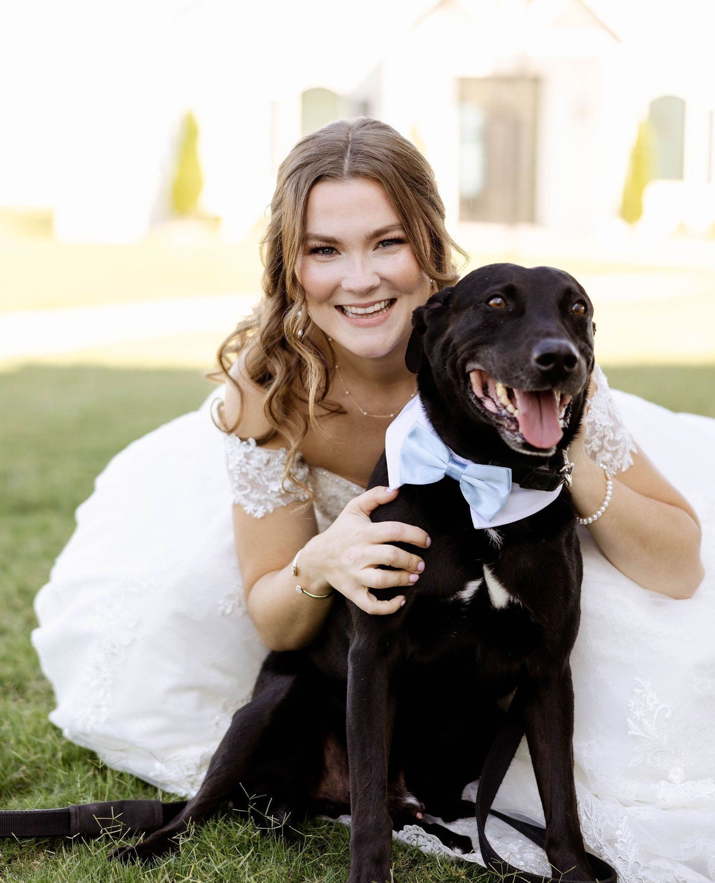 If there&rsquo;s a pup in the wedding album, you know we're stopping to admire every single shot. Bonus points if they&rsquo;re rocking a bowtie or a flower collar! Who else is obsessed with furry wedding guests?! 🐾💍✨⁠