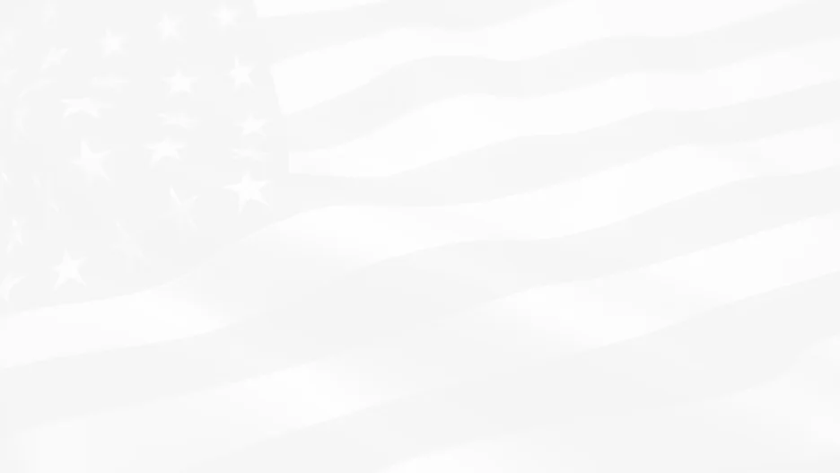 backgroundflag.jpg