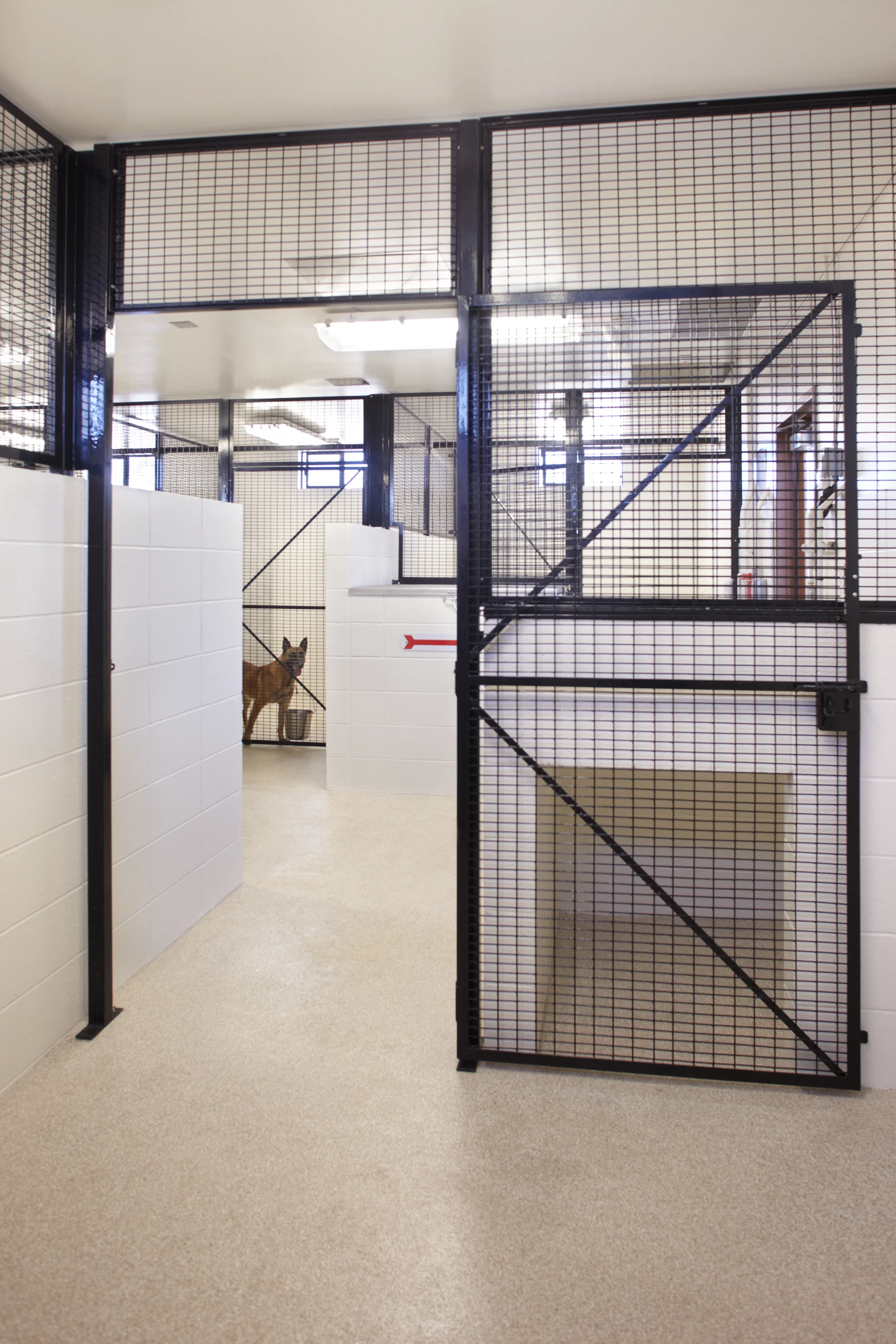 Military Working Dog Facility_316F.jpg