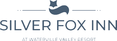 SFI_logo.png