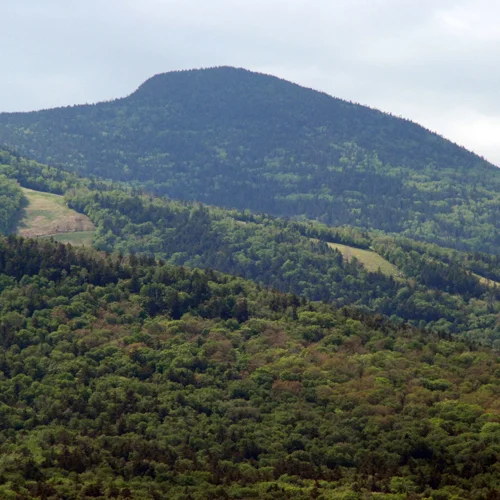 tecumseh_wv_hike.jpg