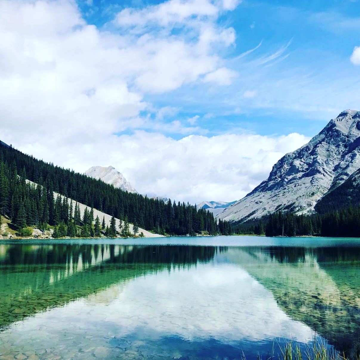 WELCOME TO BREAKING DOWN THE LANDSCAPE