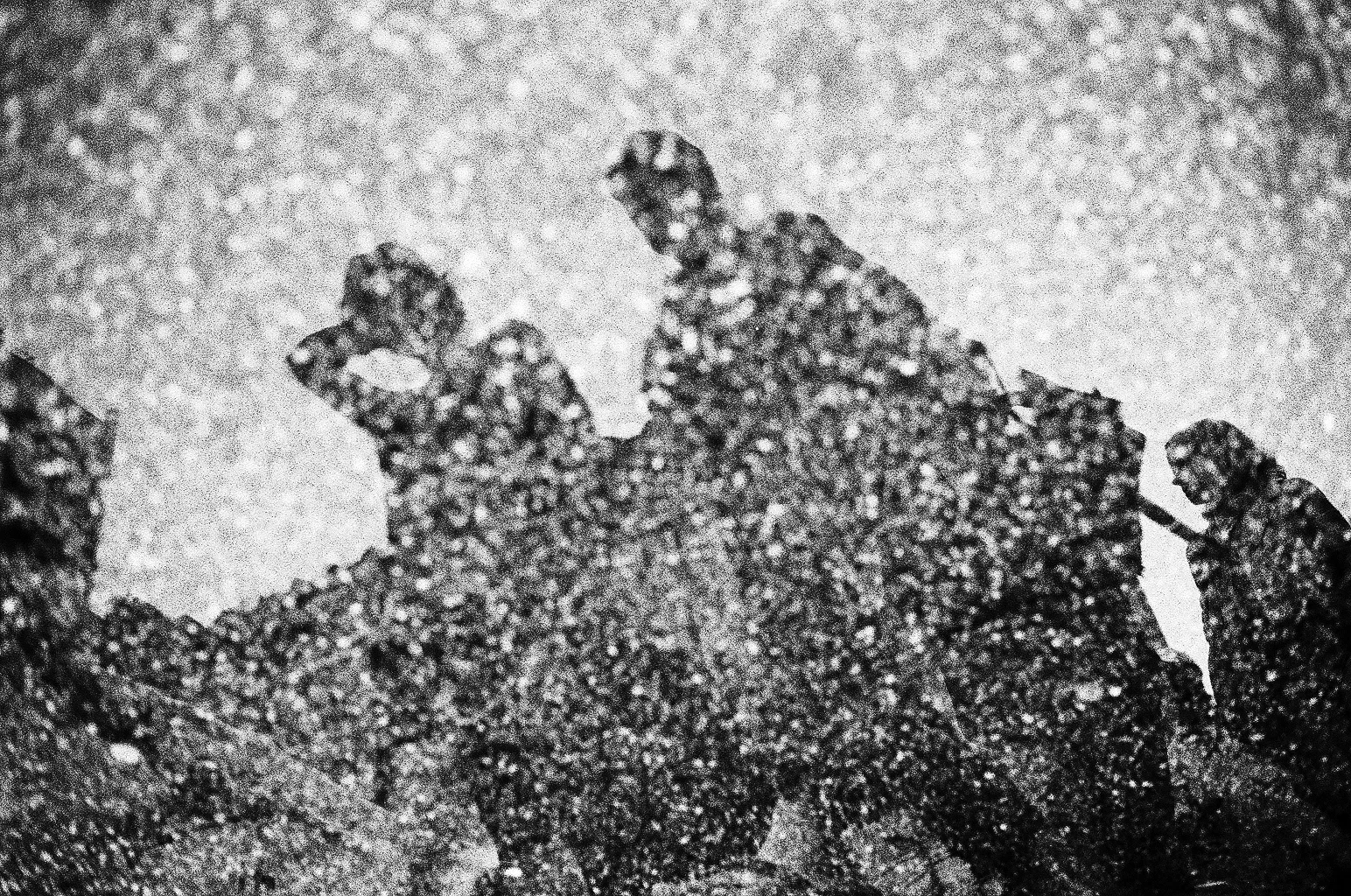 21-89890032.jpg