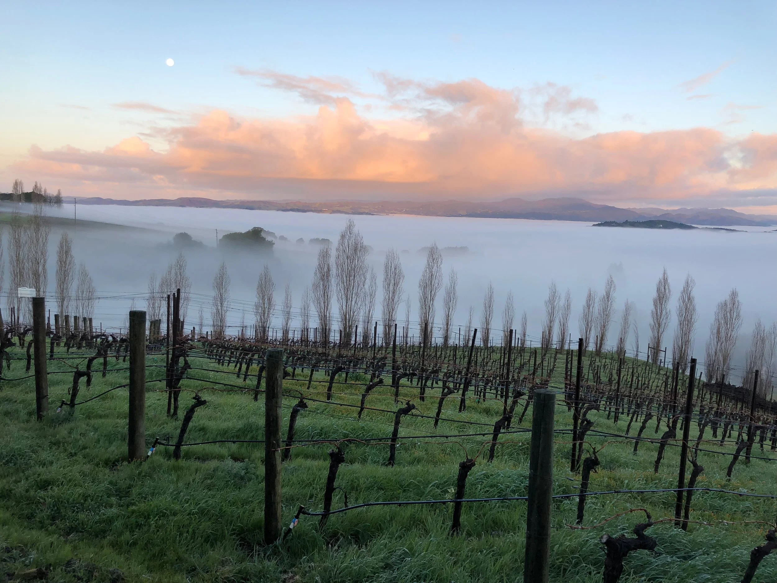 Winter Doldrums in March (but Spring is coming?)