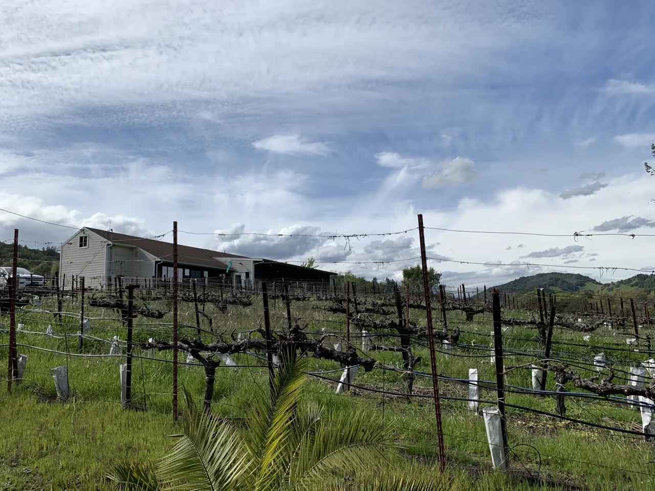 The Matthiasson’s new winery in Oak Knoll.