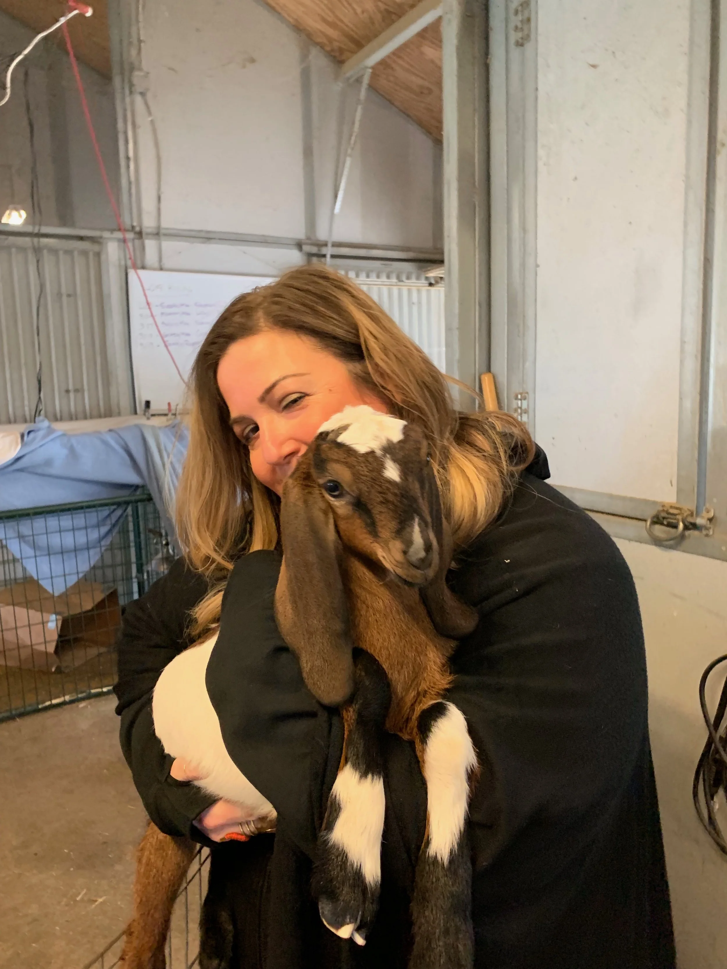 These goats are too cute!